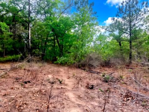 000 Ponderosa Loop Paige TX 78602