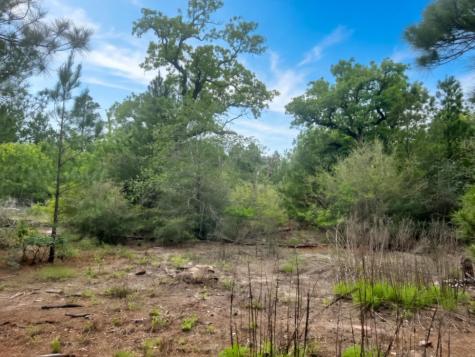 000 Ponderosa Loop Paige TX 78602