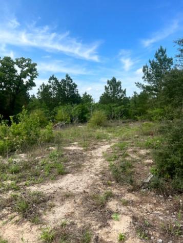 000 Ponderosa Loop Paige TX 78602
