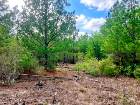 000 Ponderosa Loop Paige TX 78602