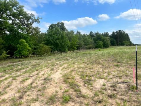 000 Ponderosa Loop Paige TX 78602