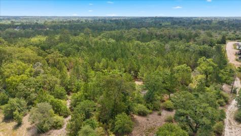 000 Ponderosa Loop Paige TX 78602