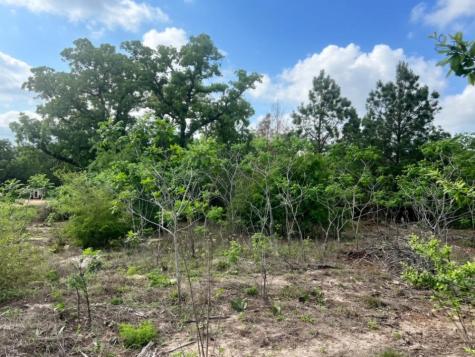 000 Ponderosa Loop Paige TX 78602