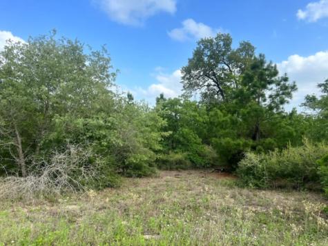 000 Ponderosa Loop Paige TX 78602