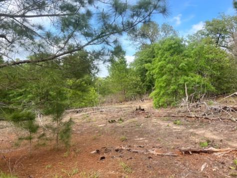 000 Ponderosa Loop Paige TX 78602