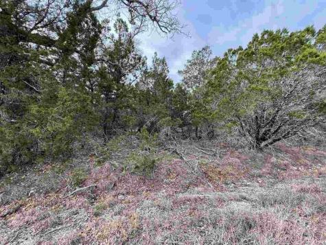 Hb Lot K10033 Mountain Dew Horseshoe Bay TX 78657