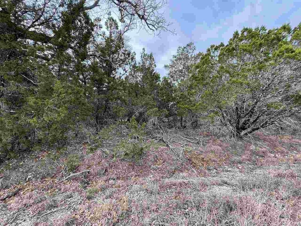 Hb Lot K10033 Mountain Dew Horseshoe Bay TX 78657