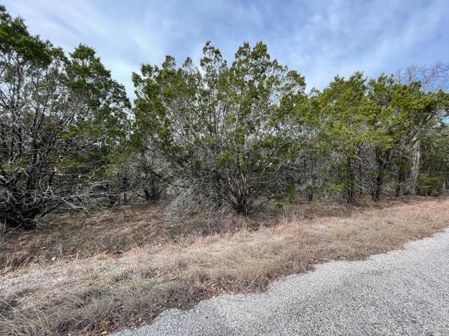 Hb Lot K10033 Mountain Dew Horseshoe Bay TX 78657