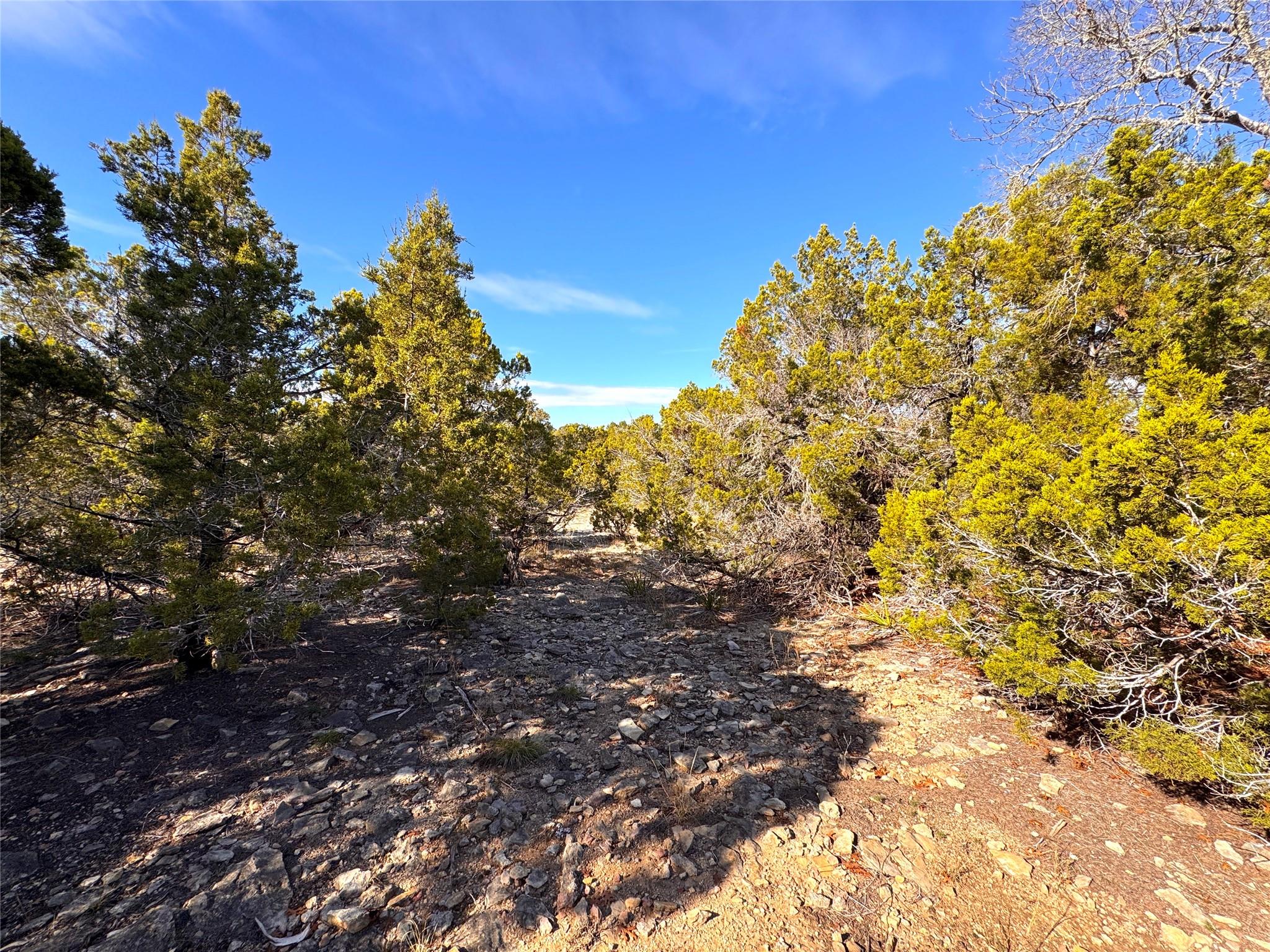 985 Oblate Drive Canyon Lake TX 78133