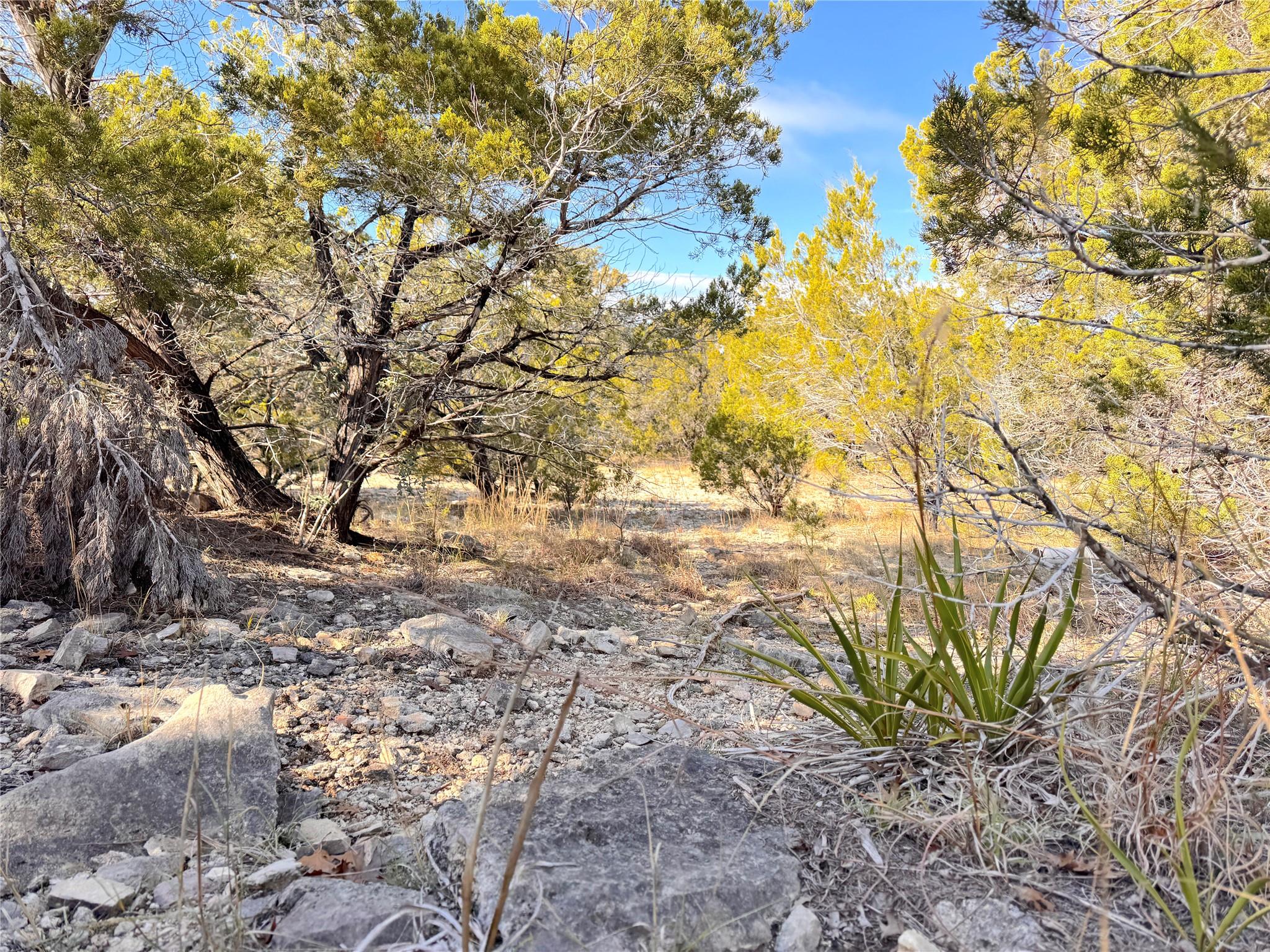 985 Oblate Drive Canyon Lake TX 78133