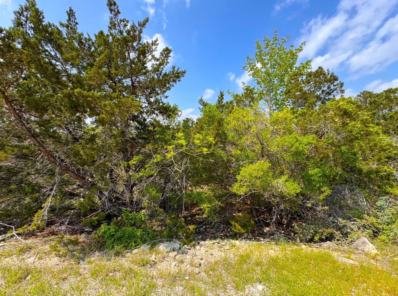 985 Oblate Drive Canyon Lake TX 78133