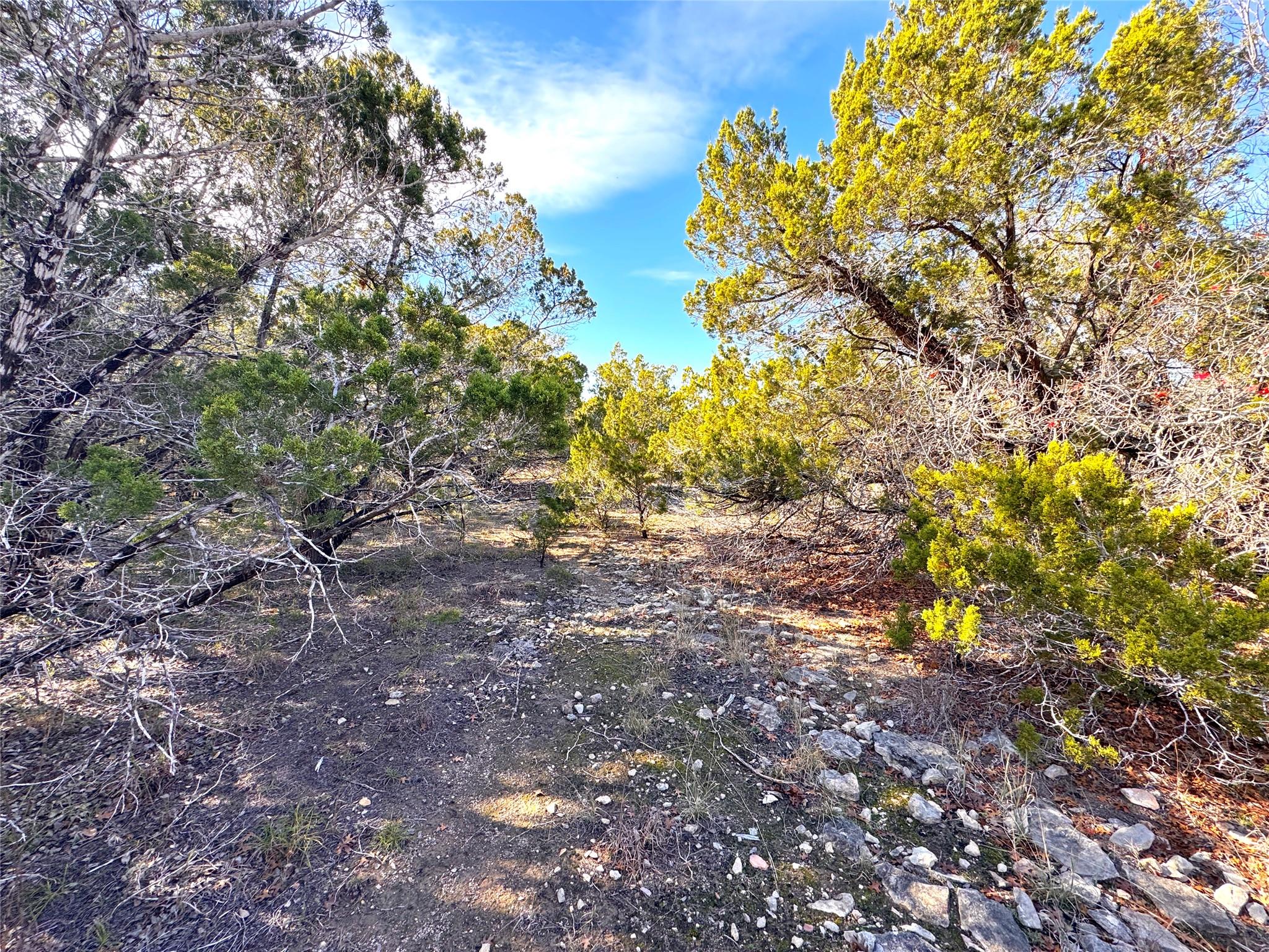 985 Oblate Drive Canyon Lake TX 78133