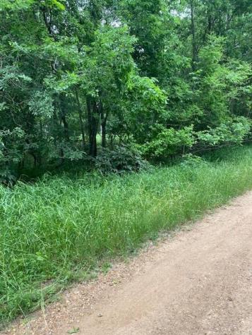 Lot 812 Kaukonahua Lane Bastrop TX 78602
