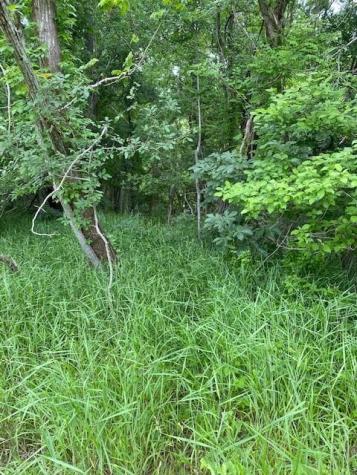 Lot 812 Kaukonahua Lane Bastrop TX 78602