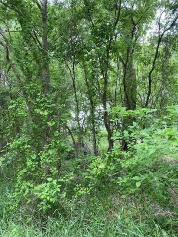 Lot 812 Kaukonahua Lane Bastrop TX 78602