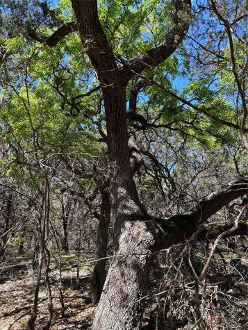 37 Heathrow Lane Wimberley TX 78676