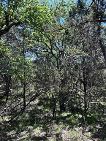 37 Heathrow Lane Wimberley TX 78676