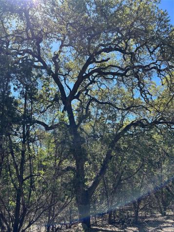 37 Heathrow Lane Wimberley TX 78676