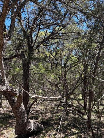 37 Heathrow Lane Wimberley TX 78676