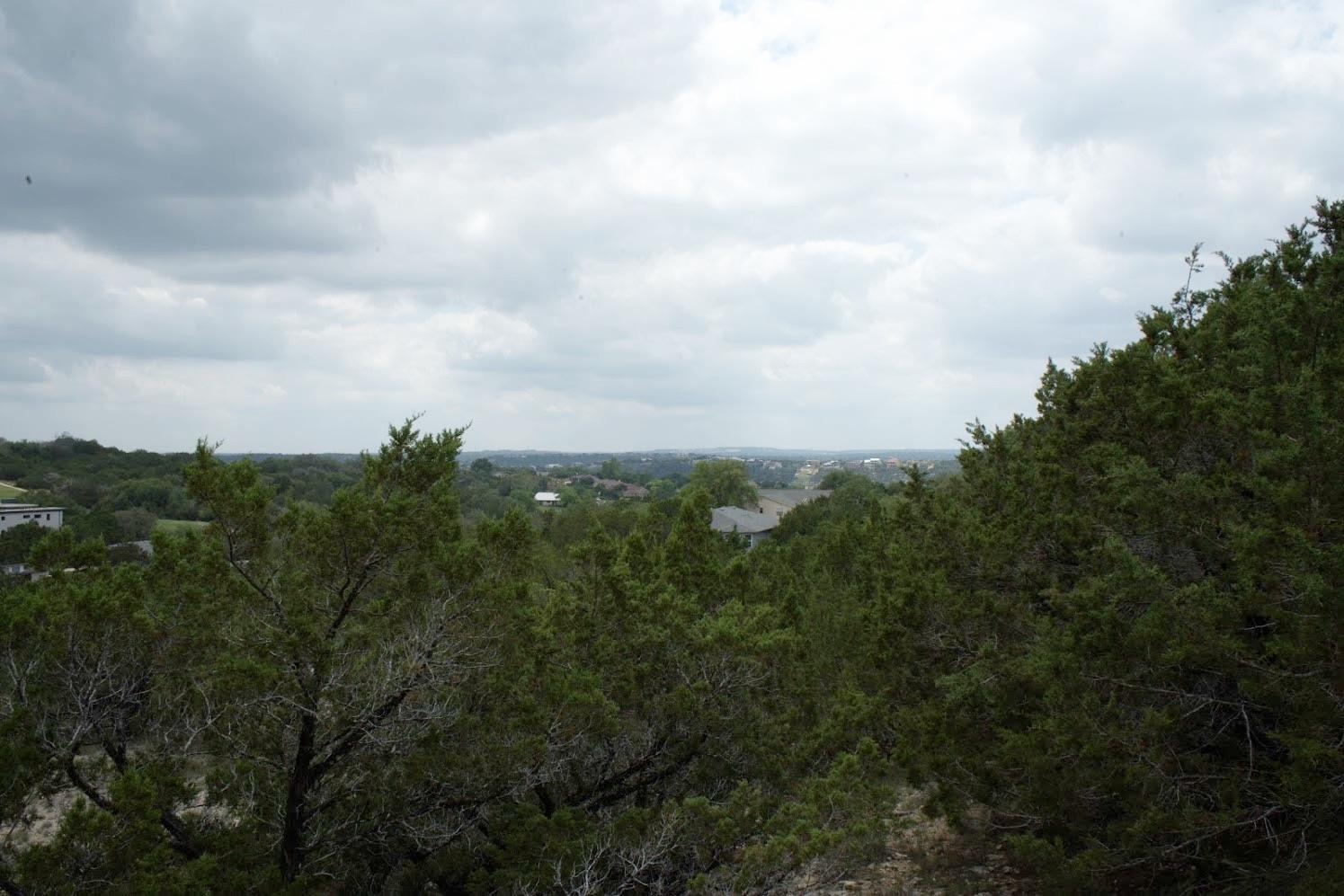 20709 Hayes Cove Lago Vista TX 78645