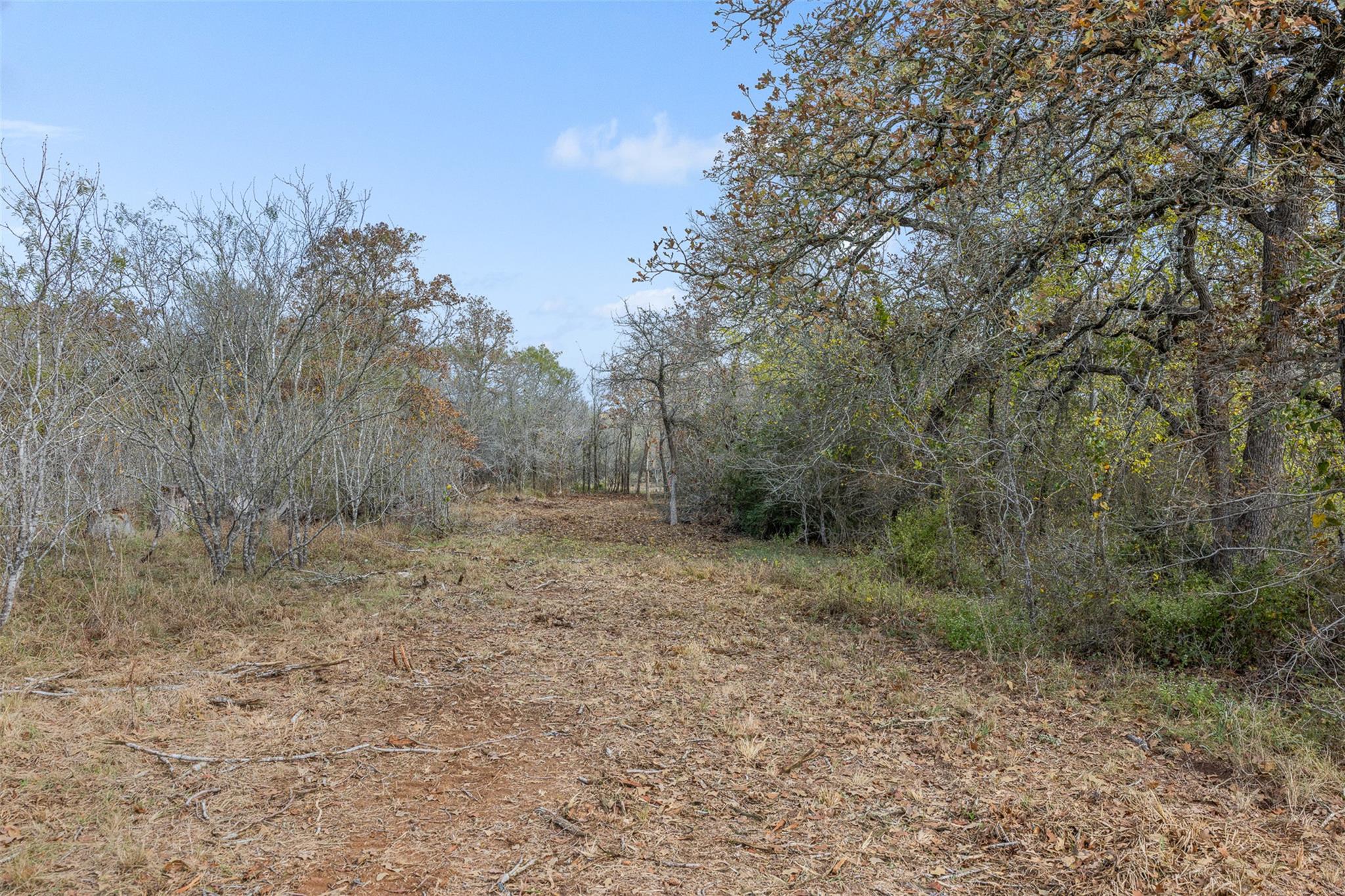 840 Bugtussle Lane Luling TX 78648