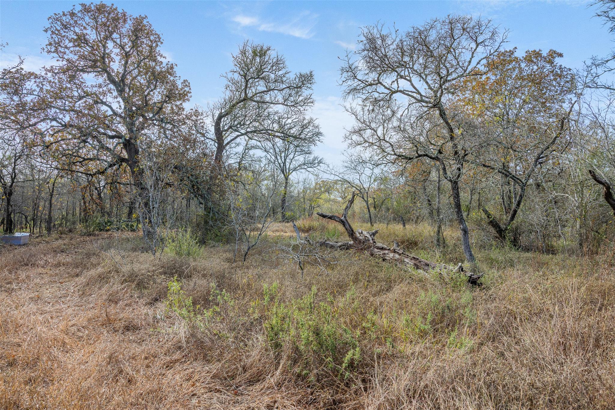 840 Bugtussle Lane Luling TX 78648