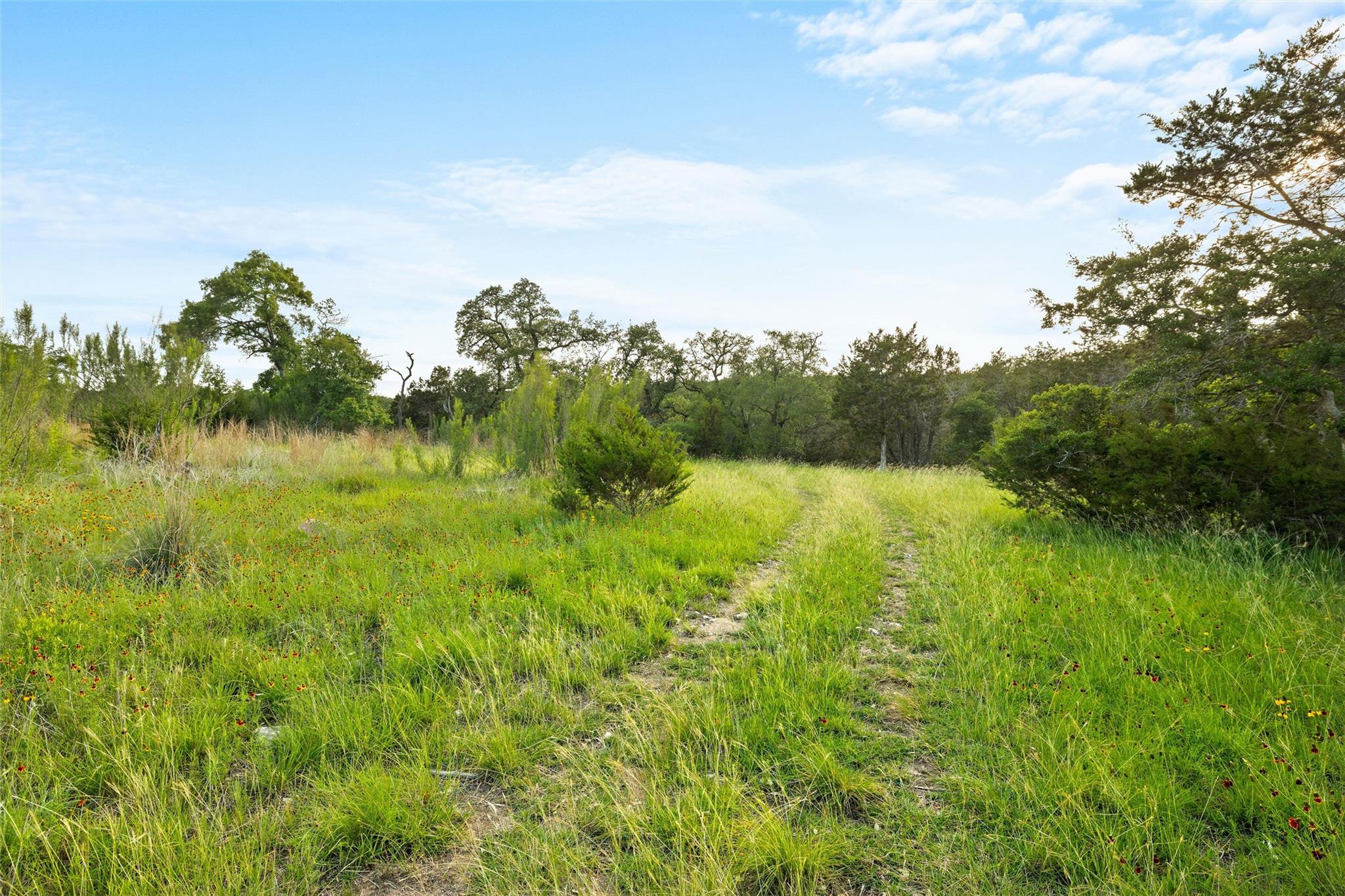 900 Lost Valley Road Dripping Springs TX 78620