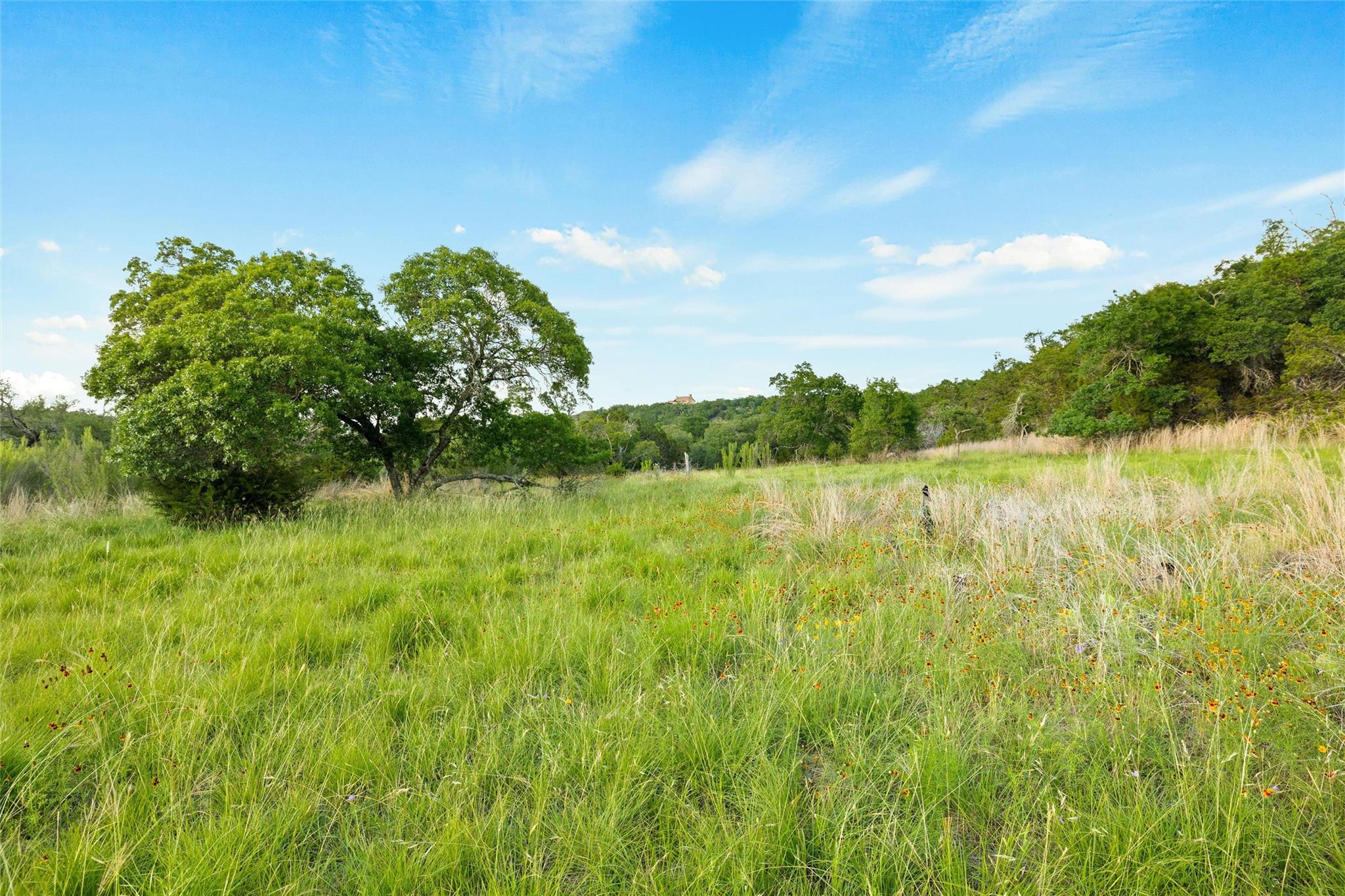 900 Lost Valley Road Dripping Springs TX 78620