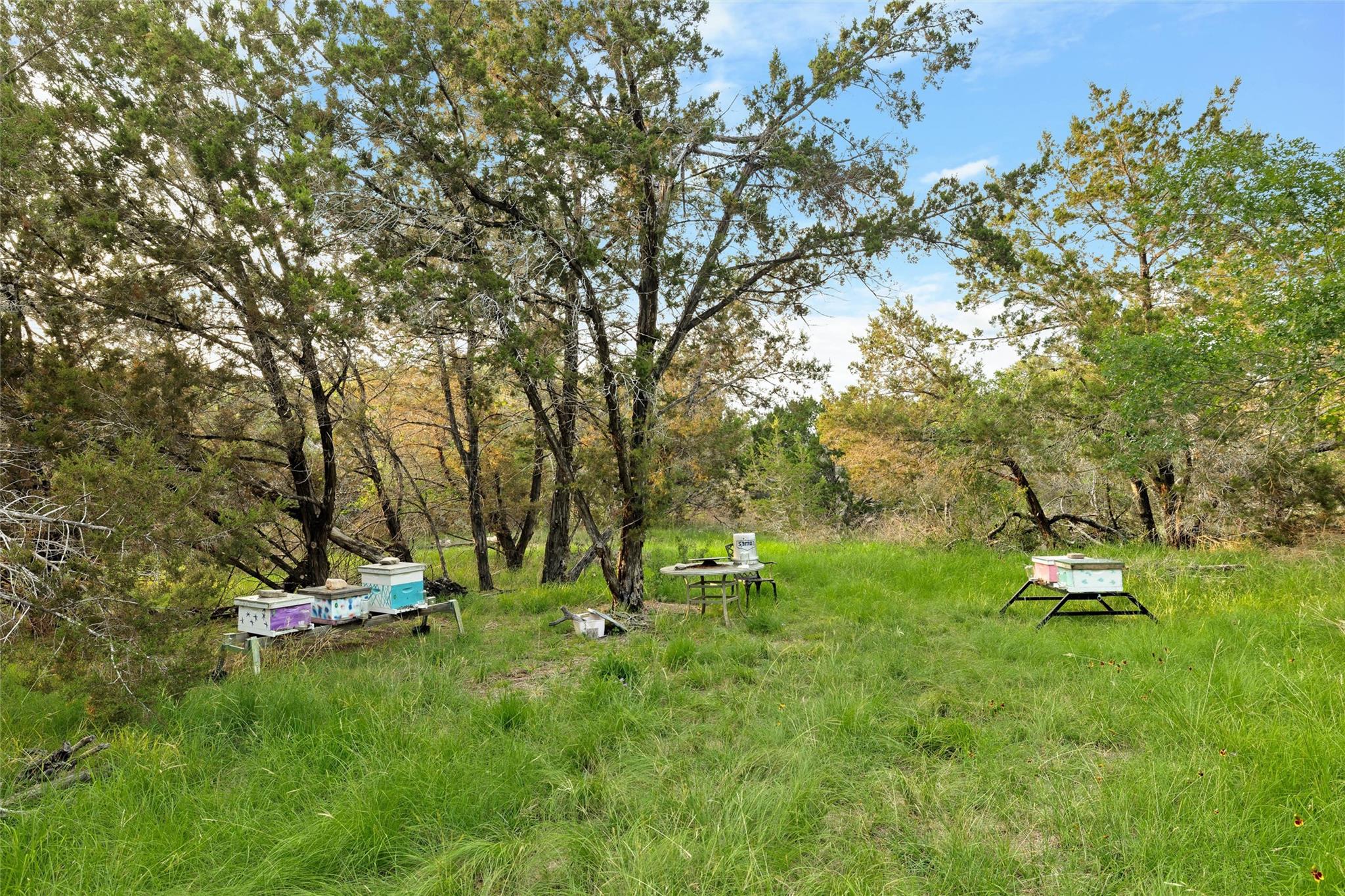 900 Lost Valley Road Dripping Springs TX 78620