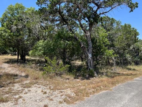619 Cactus Flower Canyon Lake TX 78133