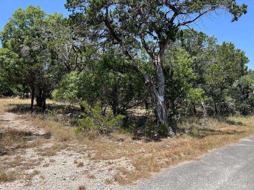 619 Cactus Flower Canyon Lake TX 78133