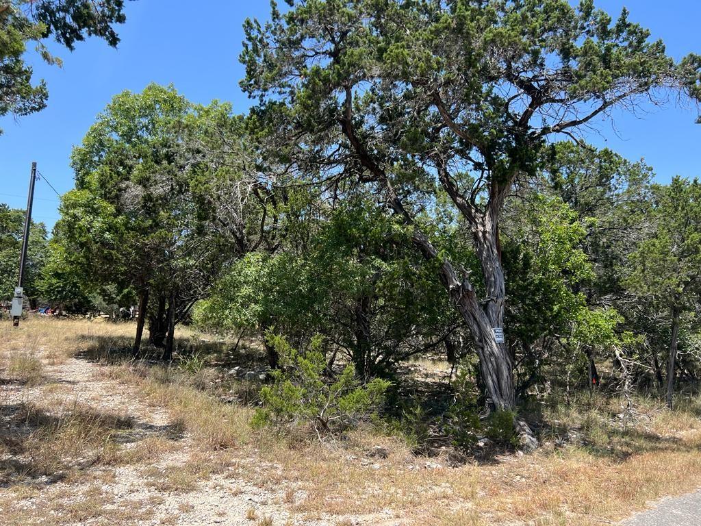 619 Cactus Flower Canyon Lake TX 78133