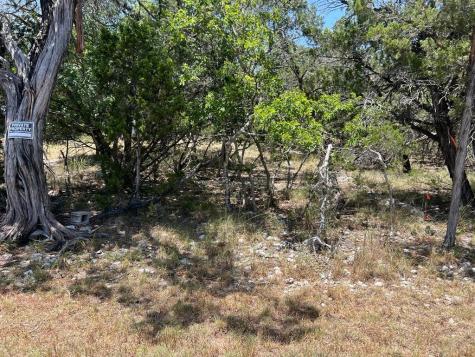 619 Cactus Flower Canyon Lake TX 78133
