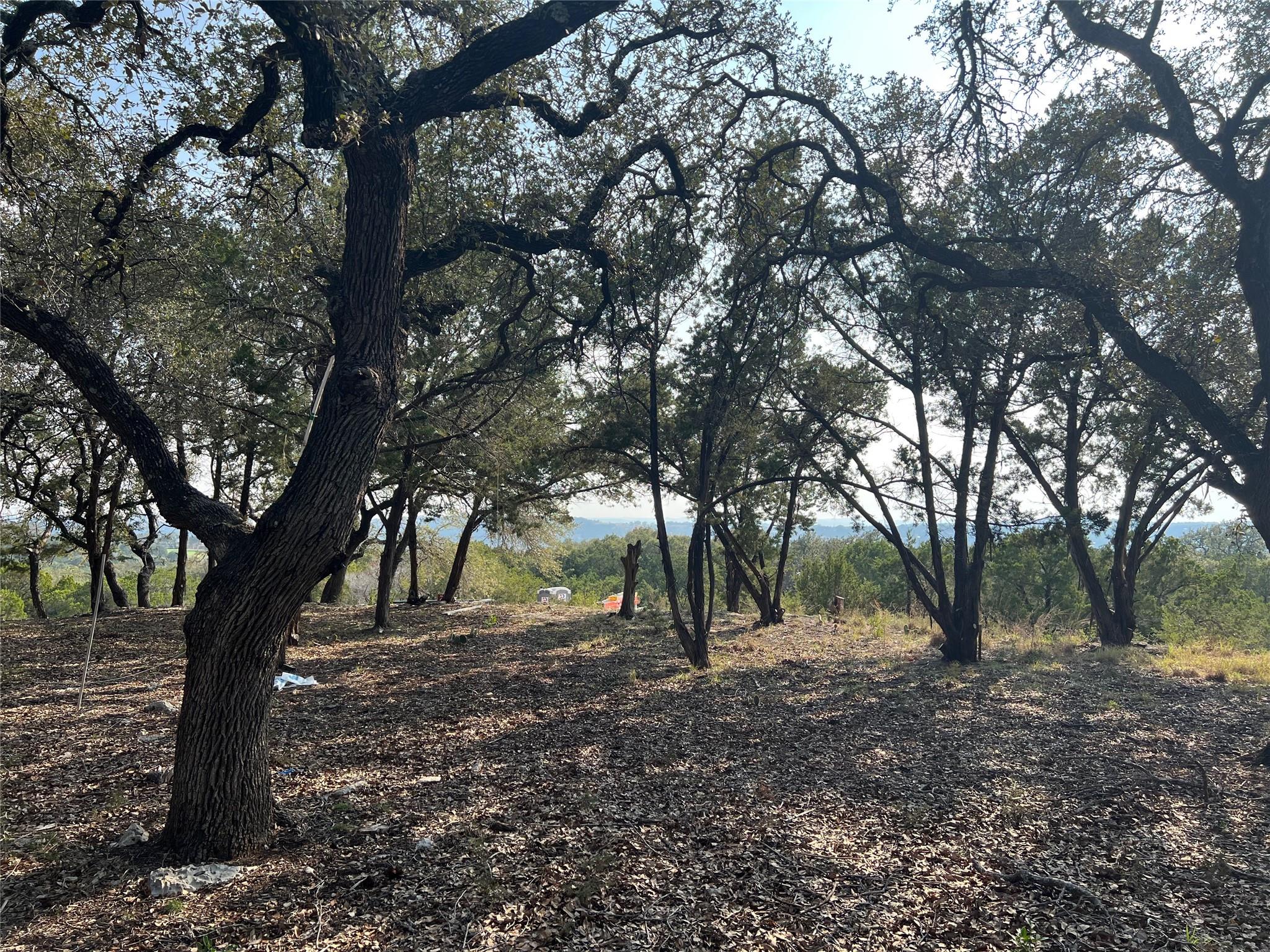 21002 Niagara Cove Lago Vista TX 78645