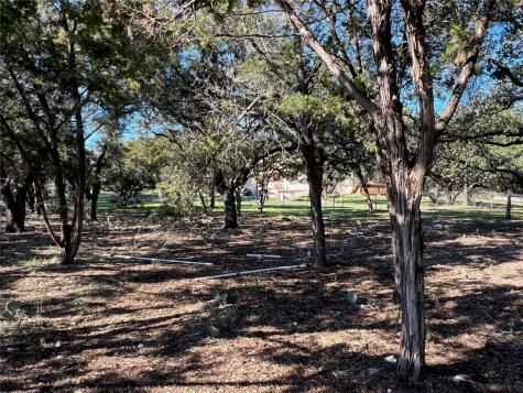 21002 Niagara Cove Lago Vista TX 78645