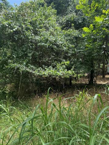 Lot 908 Kahana Lane Bastrop TX 78602