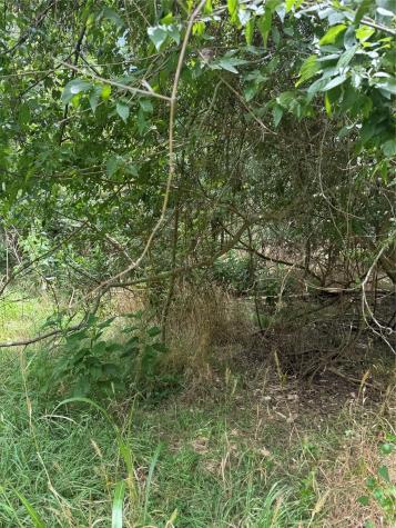 Lot 908 Kahana Lane Bastrop TX 78602