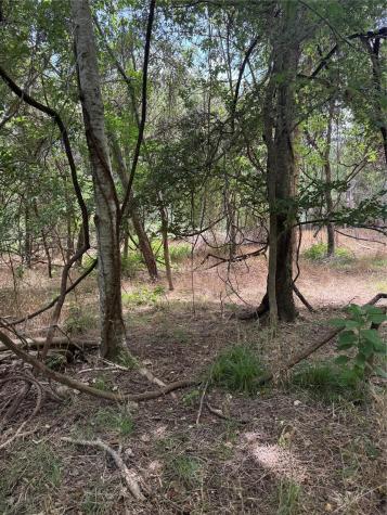 Lot 908 Kahana Lane Bastrop TX 78602