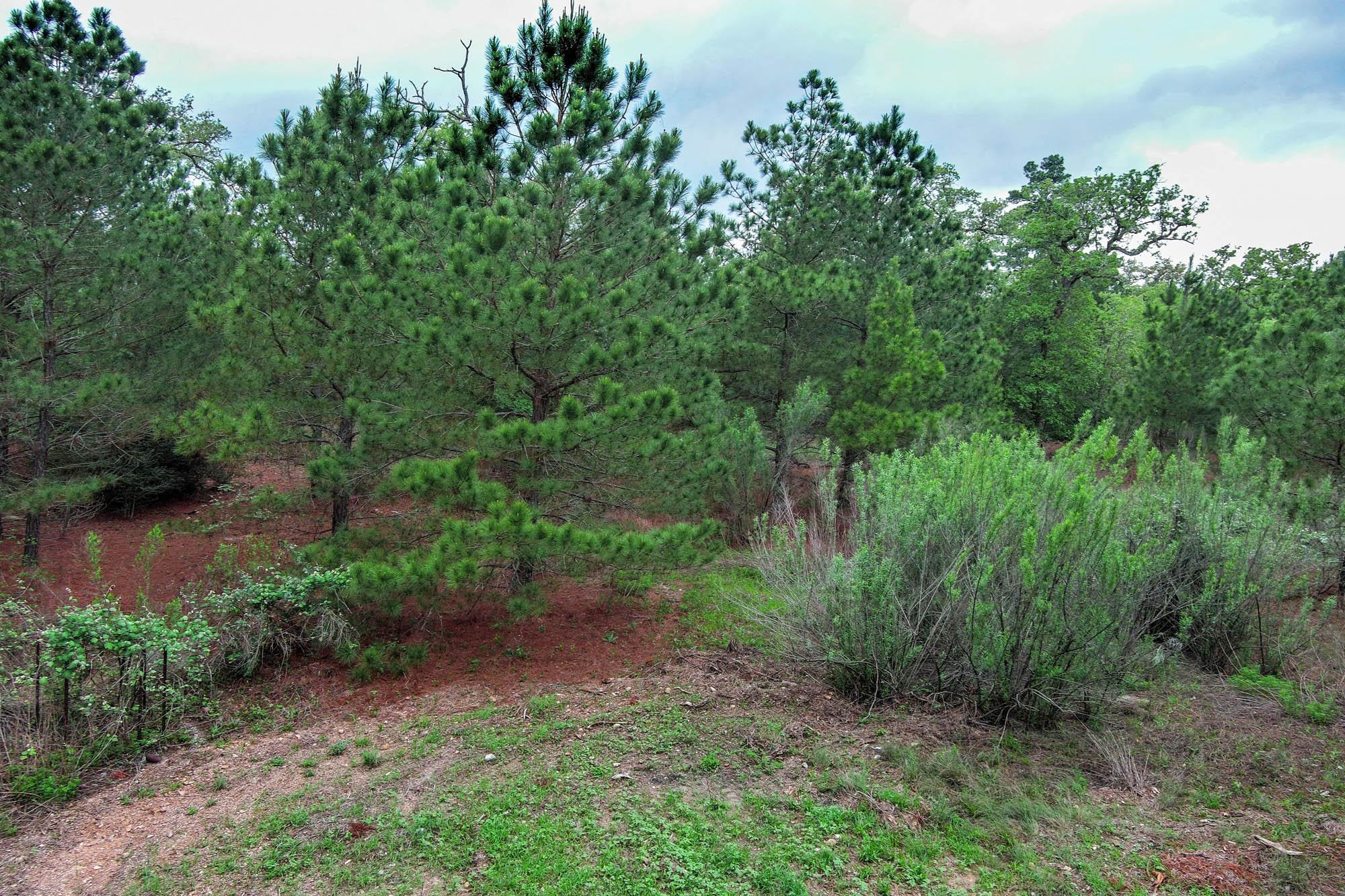 172 Kelley Road Bastrop TX 78602