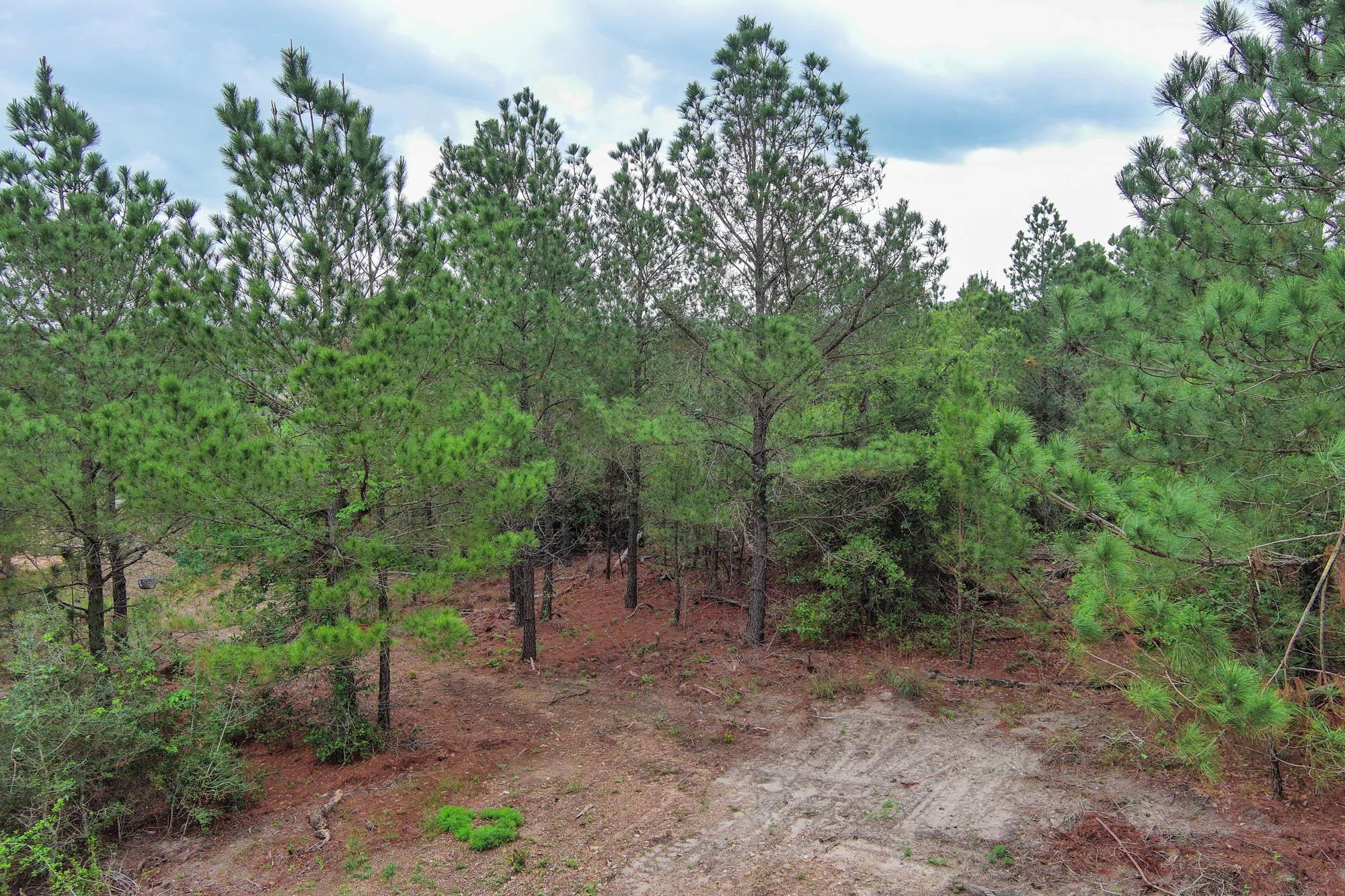 172 Kelley Road Bastrop TX 78602