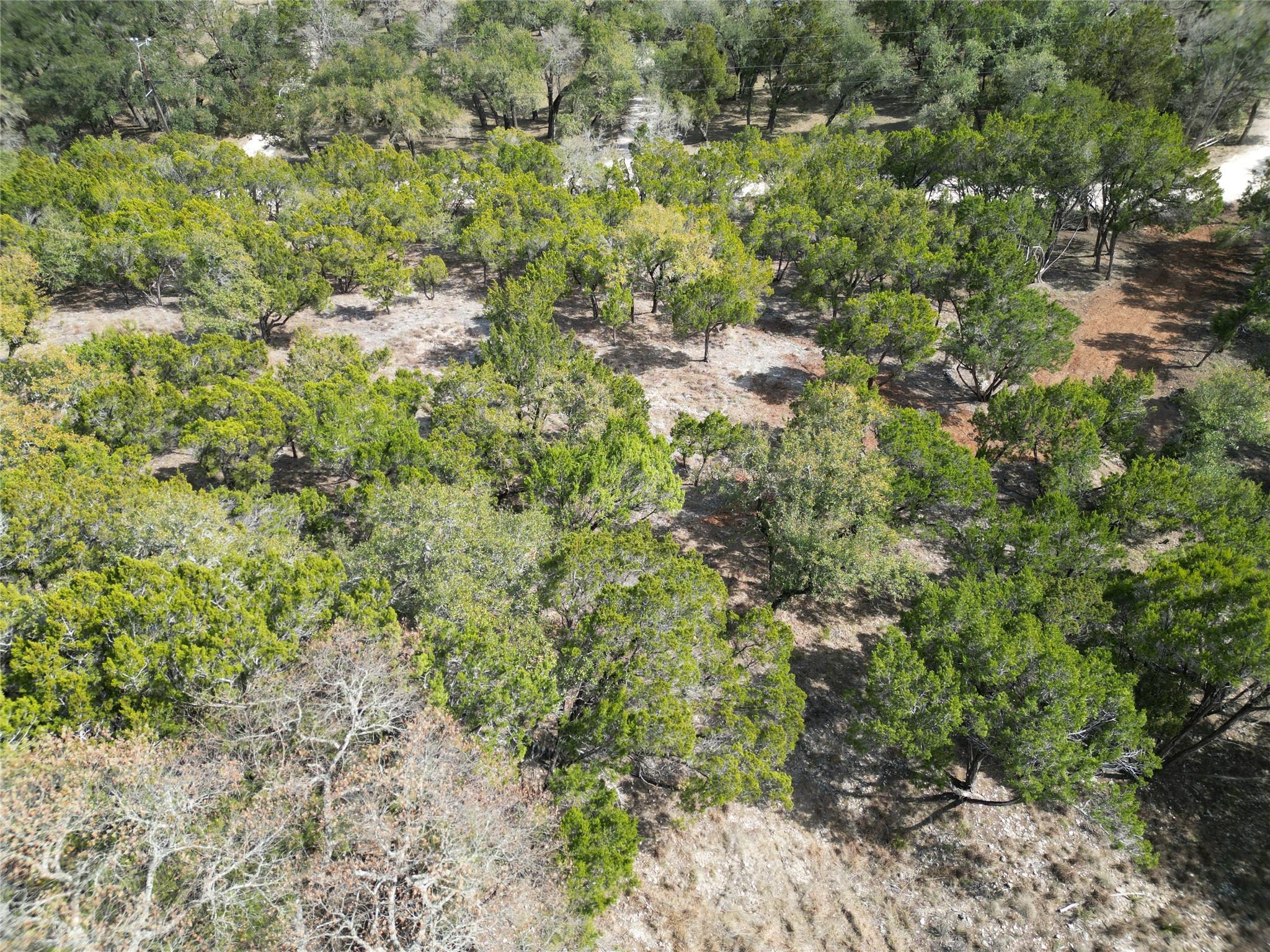 Tbd Rancho Grande Drive Wimberley TX 78676