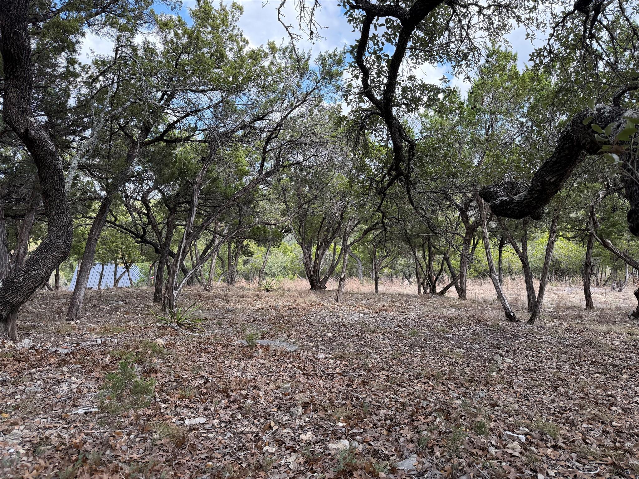 Tbd Rancho Grande Drive Wimberley TX 78676