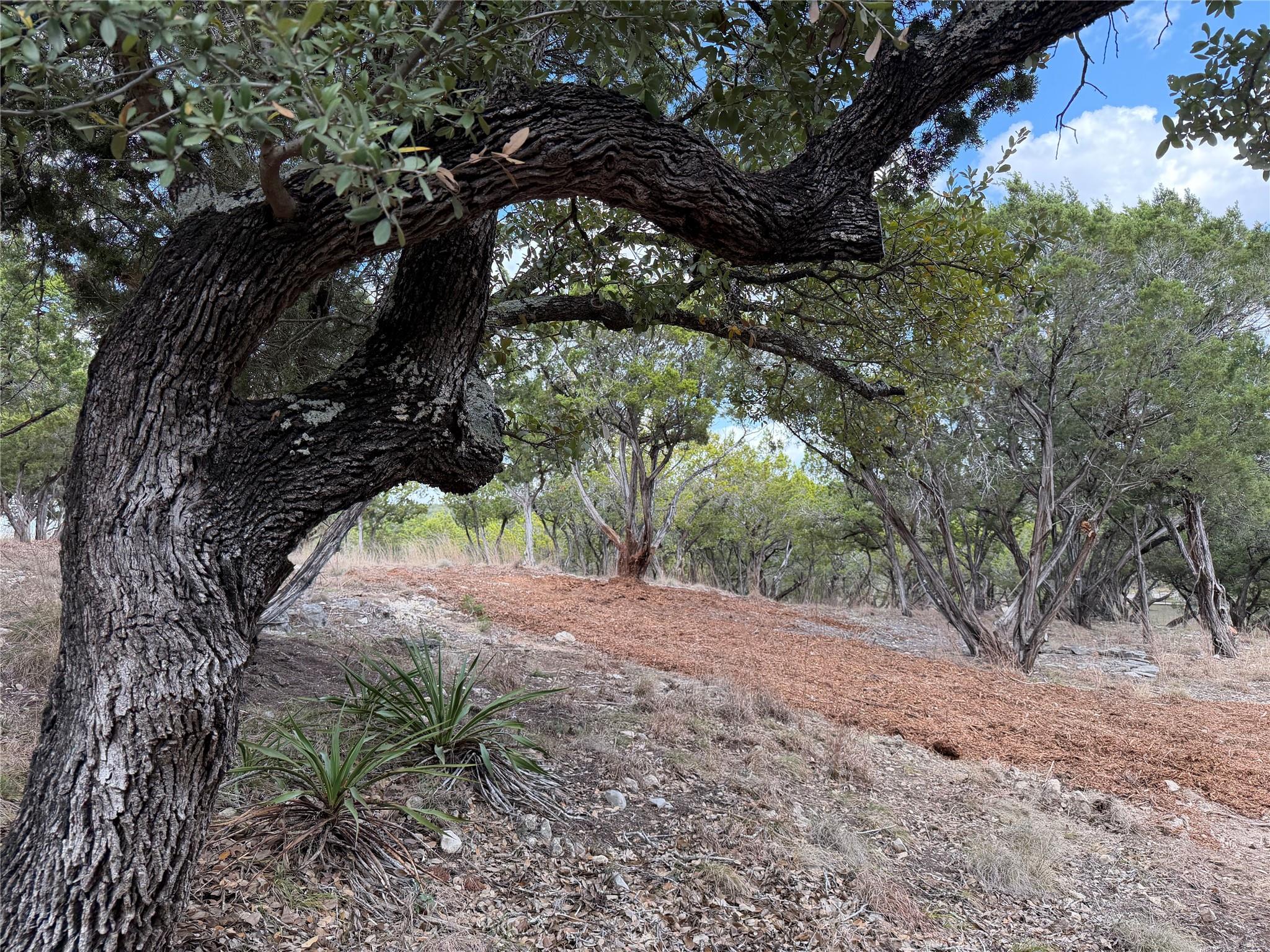 Tbd Rancho Grande Drive Wimberley TX 78676
