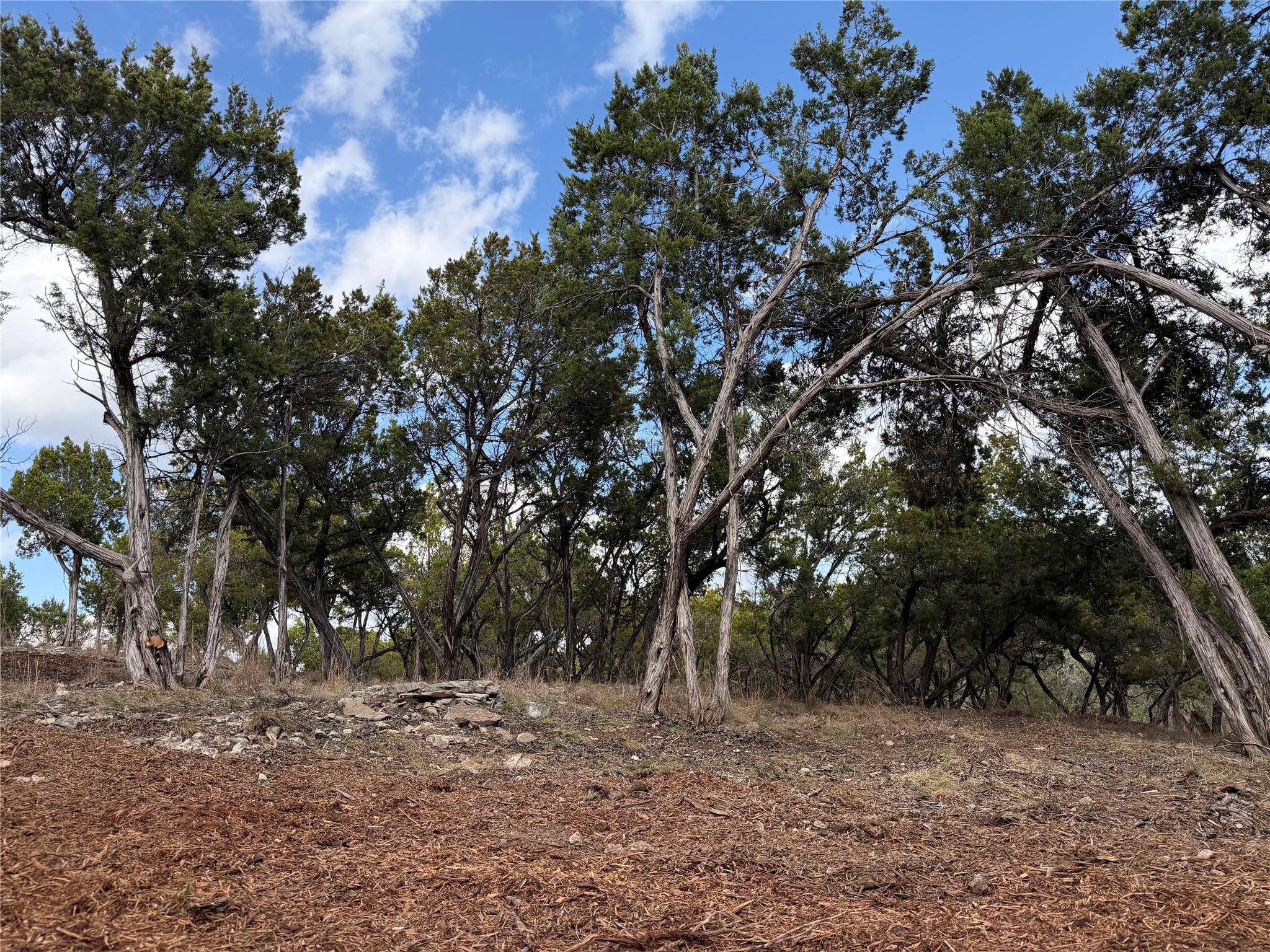 Tbd Rancho Grande Drive Wimberley TX 78676