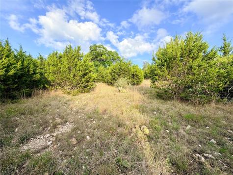 Lot 13 Spies Ridge Drive N Fredericksburg TX 78624