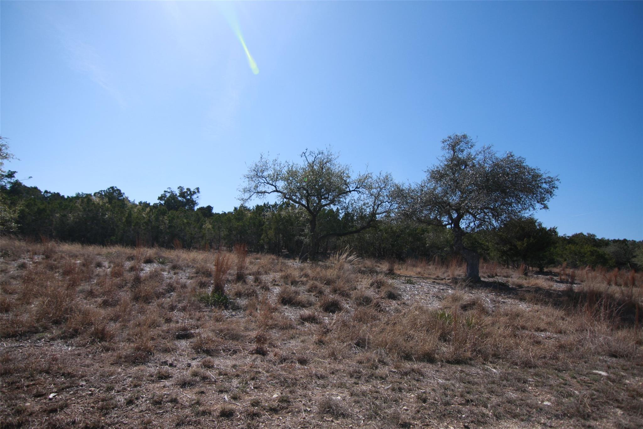 150 Patricks Way Dripping Springs TX 78620