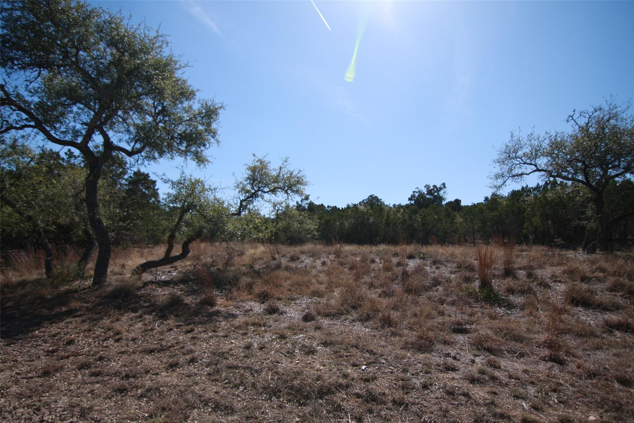 150 Patricks Way Dripping Springs TX 78620