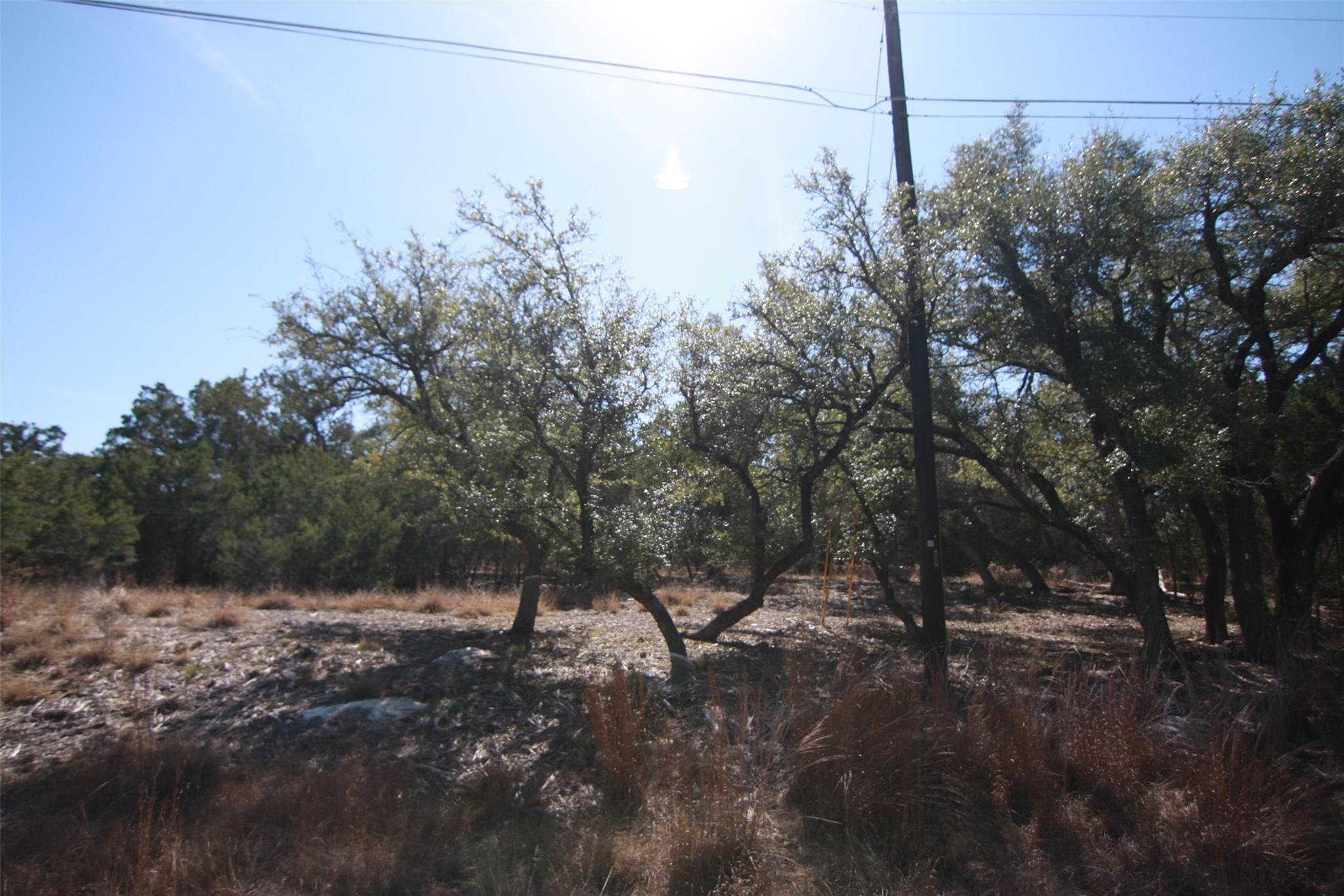 150 Patricks Way Dripping Springs TX 78620