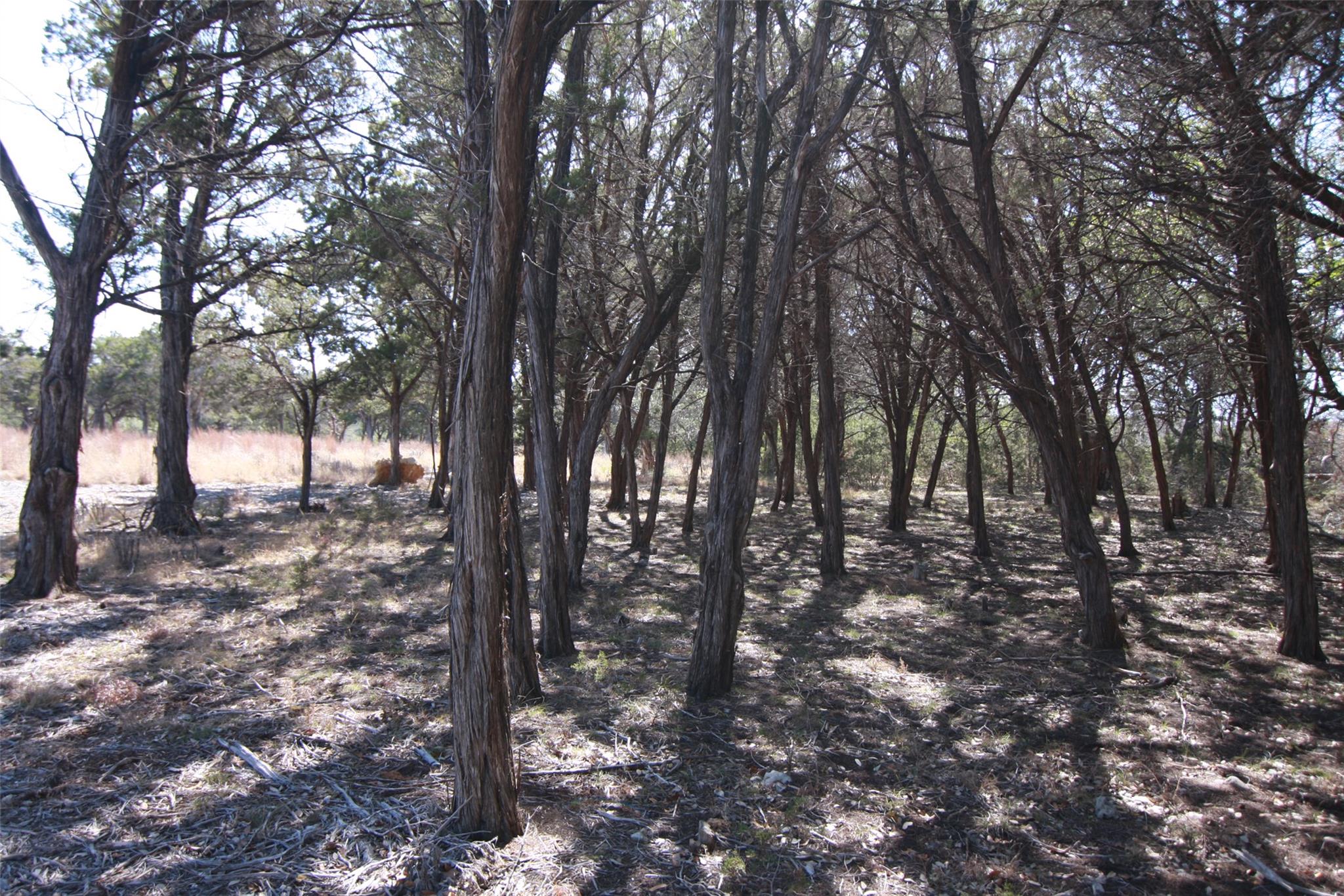 150 Patricks Way Dripping Springs TX 78620