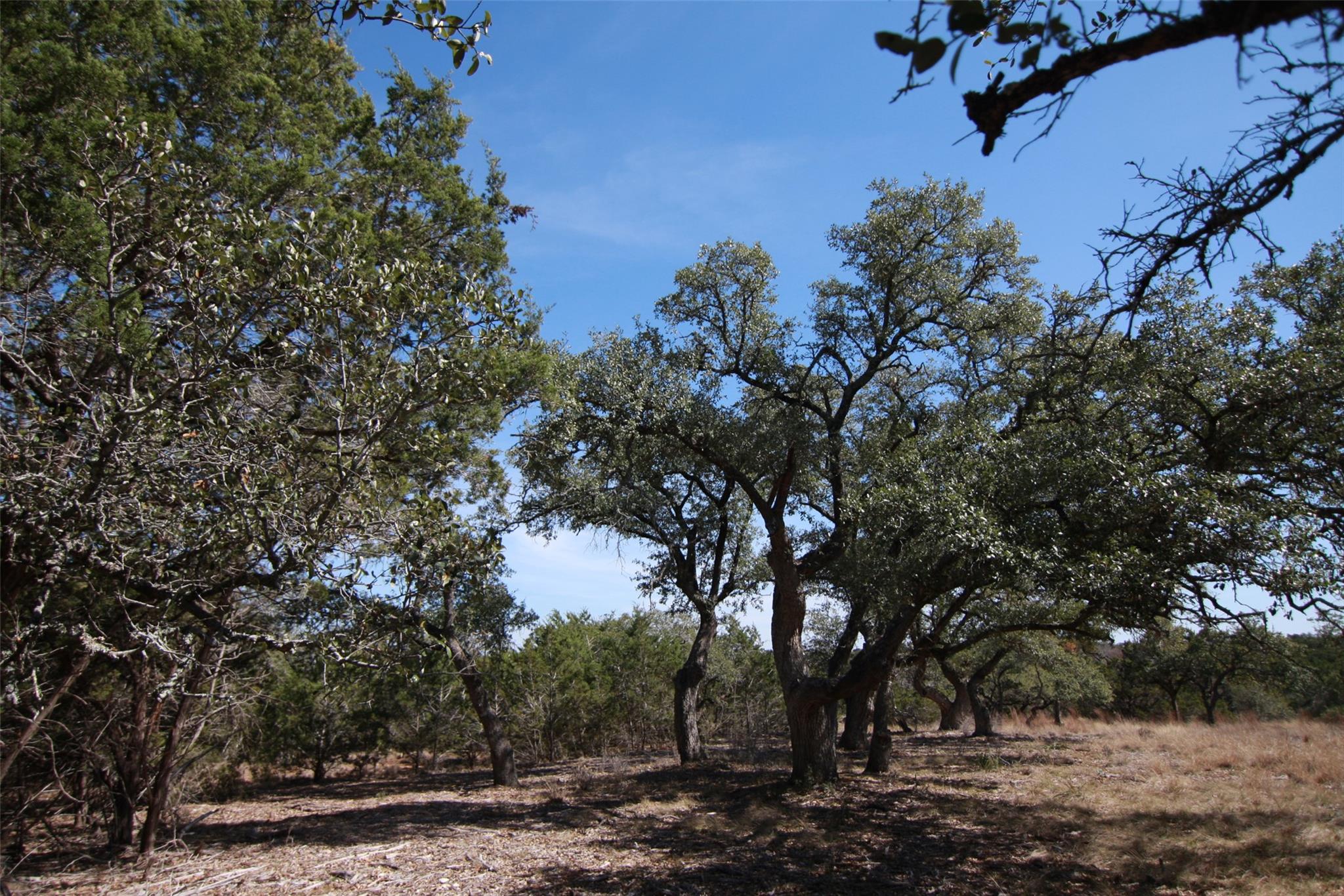 150 Patricks Way Dripping Springs TX 78620